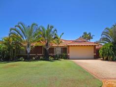 11 Niagara Pl Morley WA 6062 $659,000 GRAND OPENING Sun (14th) 1:15 - 1:45pm Inspection Times: Sun 14/02/2016 01:15 PM to 01:45 PM Like to Relax & Entertain? This home is the ultimate entertainer! It boasts four "queen size" bedrooms all with built in/walk in robes, two bathrooms (one ensuite) and a study. Perfect for your growing family. Features: formal lounge, formal dining, open plan kitchen, meals and family (perfect for entertaining) and let's not forget the "Party Size" patio overlooking a beautiful below ground pool and gardens where you can enjoy a slice of paradise right in your own back yard. What more could you want? Located in a very quiet cul-de-sac walking distance to Arbor Park. This really is an entertainer's DREAM and sure to sell fast. Call now to organize a viewing!! PROPERTY DETAILS $659,000 ID: 360593