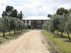 34 Tambo Blvd Metung VIC 3904 $785,000 OLIVE GROVE KEEN VENDORS ARE NEGOTIABLE Enjoy some extra income from approx. 500 mature olive trees on this 5 acre property plus B & B potential. 4 year old double storey home featuring 3 bedrooms all with ensuite bathrooms ( master with double shower, double vanity, bath, wc and bidet, all have access to the wide timber decked verandah which offers views to Tambo Bay and the surrounding area. The impressive entry area features double doors, water feature and porcelain tiles leading to a dining area with access to the rear al fresco area. The lounge is approx. 10.5 m x 6m and includes a solid fuel heater and split system air-conditioner and access outside. The kitchen is registered for commercial activities and includes a great solid timber work bench, industrial dishwasher and heaps of cupboard space plus there is an adjoining family area ideal for preparation of your olives and olive oil products or even cooking classes. 4th shower and toilet. Outside is a powered bungalow plus a separate office, 4 bay shed (1 Lockable), carport, 20,000 litre water tank, dam stocked with gold fish, and various plant and equipment (list available) Property Snapshot Property Type: House on acres Features: Balcony Coastal Ensuite Outdoor Living Workshop
