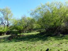 2022 Nugent Rd Nugent TAS 7172 $60,000 Nothing Nicer Than Nugent Nugent is 20 kilometres from the township of Sorell. This block of approximately 3298m2 is located right in the heart of the close-knit community opposite the local hall and alongside the quaint little church building. The triangular shaped land is reasonably level and has been well cleared making it ideal to build upon subject to approval from the local council. There is a converted container that provides shelter and temporary accommodation. It has a timber flooring, a modern kitchen and room remaining for either a lounge or bed. Sliding glass doors at the front open to a sunny deck. So if you want to live in the country and enjoy the peace and quiet on offer at a very affordable price, check out this land and see what you think. General Features Property Type: Land