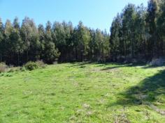 2022 Nugent Rd Nugent TAS 7172 $60,000 Nothing Nicer Than Nugent Nugent is 20 kilometres from the township of Sorell. This block of approximately 3298m2 is located right in the heart of the close-knit community opposite the local hall and alongside the quaint little church building. The triangular shaped land is reasonably level and has been well cleared making it ideal to build upon subject to approval from the local council. There is a converted container that provides shelter and temporary accommodation. It has a timber flooring, a modern kitchen and room remaining for either a lounge or bed. Sliding glass doors at the front open to a sunny deck. So if you want to live in the country and enjoy the peace and quiet on offer at a very affordable price, check out this land and see what you think. General Features Property Type: Land
