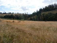 Lot 1 Delmore Road Wattle Hill TAS 7172 $99,000 Price Reduced - Owner Must Sell This rural block of land is approximately 1 hectare in size. It has good frontage on to Delmore Road with easy access to power from poles already on the property. The land has a gentle slope and is mainly cleared pasture. There is a creek near the back boundary and you have pleasant views of the surrounding countryside and looking down the valley. The property would enable you to enjoy a relaxed lifestyle in a relatively peaceful and private location which is less than fifteen minutes drive from Sorell. The beaches of Dodges Ferry are also within easy reach. Take a drive and inspect this lovely block. There are not many available like this in the area, so dont miss out. General Features Property Type: Land
