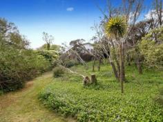 266 Melbourne Rd Blairgowrie VIC 3942 $495,000 - $525,000 Renovate This!- Blairgowrie Address with a Rye Price Tag One of Two Two homes available side by side buy one or buy both - Perched high on the hill with possible 360 degree views you will find a unique opportunity to own this renovators delight, resting on a large and super private 1056sqm allotment. Within walking distance to the Blairgowrie Village, Ocean Back Beach and the golden sands of Port Phillip Bay, you will have to be very quick indeed to secure this unique opportunity. Positioned behind a large grove of trees lining Melbourne Road, and then another 20 metre buffer zone to the front boundary of the property, this location and address will surely impress. We are offering to one lucky purchaser the chance to own this 5 bedroom home that has the potential to turn this cheap as chips slice of blue chip real estate into something special. Featuring gas heating, hardwood timber flooring under carpets, two showers and a further opportunity to renovate the two out-buildings and develop the extra accommodation possibilities. *Please note that 268 Melbourne Road, Blairgowrie is also available for sale. Floorplan to come.