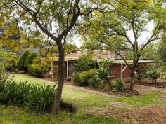475 Gill St Mundaring WA 6073 $489,000 VILLAGE LIVING Newly renovated 3 bedroom, 1 bathroom brick and tile home with office or sleepout nestled on private 2039sqm block in quiet cul de sac within walking distance of Mundaring Village. All the work’s been done in this bright and light home! New kitchen and laundry. Modernized bathroom. New flooring and freshly painted in neutral colours throughout. Outdoor entertaining is easy under the large shaded patio, surrounded by colourful established gardens with stone retaining walls, trees, shrubs and seasonal bulbs. Plus a length of lovely lawn to frolic upon, a small productive orchard and a shed. For more details or an inspection call Edwin 0409 107 877 FEATURES • Renovated 3 bedroom brick / tile home • New kitchen and laundry • Modern bathroom • New paint and flooring • Carport • Small orchard • Underground power • Private, regular shaped 2039 sqm block • Quiet location – walking distance to Mundaring Village Other features: Built-In Wardrobes,Close to Schools,Close to Shops,Close to Transport,Fireplace(s) Property Details Elders Property ID: 10352748 3 bedrooms 1 bathrooms 2 car parks Land Area 2039 square metres Car Parks: 1 Single carport Air Conditioning