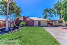 29 Elderberry Dr Parkwood WA 6147 $554,000 Modern Parkwood Family Home House - Property ID: 913528 Want a move in ready 4 bedroom, 2 bathroom home in a quiet cul-de-sac location close to schools, parklands, transport and shops? Here it is! The floorplan, design and finishings within this home are very different to any other 4x2 home currently on the market in the area. A separate, dedicated theatre room is situated to the front of the home with a good size master bedroom, double built in robe and ensuite with a bath and separate toilet. The slate floors are definitely an easy care, low maintenance bonus in the home as well as freshly painted walls and doors and new carpet throughout. The minor bedrooms all have built in robes and vertical blinds. A light and bright open plan family room, meals and games / sitting room all surround the modern kitchen. This all overlooks the beautiful patio / alfresco area and fenced, below ground, salt water pool. Outside, the home also boasts a large shed, lock up garage or store room and a double secure carport. This home is move in ready. A fantastic home in a great location. Call to view today. - 4 Bedrooms - 2 Bathrooms, ensuite with bath and separate toilet - Theatre Room - 1 Lock up Garage - 2 Car Secure Carport - Rear Access - Large Shed - Fenced, under ground salt water pool - End of Cul-de-sac - Close to Parkwood Primary School and Lynwood High School - Hossack Reserve and Stockland Riverton Forum - Modern fitout, new carpet and paint - Approx. 700sqm block School Catchment Zone: Parkwood Primary School & Lynwood Senior High School Age Of House: 1977 Building Size: Land Area: approx. 700sqm Strata Levies: N/A Local Council: City of Canning Council Rates: $1393.88 Water Rates: $939.53 Features Land Size Approx. - 700 m2 Built-In Wardrobes Close to Schools Close to Shops Close to Transport Garden