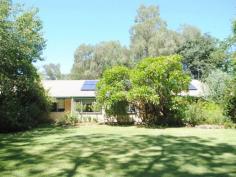 138 Greenbah Rd Moree NSW 2400 $590,000 Greenbah Address with River Frontage - Large family home overlooking the Mehi River - 4 bedrooms, all with built-ins plus a walk in robe in the main bedroom - Large separate office or 5th bedroom - 2 bathrooms - 3 toilets - Spacious modern kitchen adjoining dining area and sitting room - Family room - Lounge room - Television room - In-ground salt water pool with covered spectator's area - Huge concreted entertaining area - 7m x 14m shed with concrete flooring and 3 phase power connected - 24 solar panels (6KW) - Ample off street parking and under cover car accommodation - Established private 3667m2 block