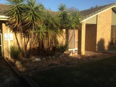 14 Gibbs St Churchill QLD 4305 $360 per week GOLFERS DELIGHT!! This house is one of a kind in Churchill. Backing onto Sandy Gallop Golf Club, this house has it all! No back neighbours, enjoy the peace and quiet. You have room for the caravan and camper trailer with the huge 8m x 6m carport and side access to the yard. There is loads of room to store your items as the property also features a 6mx3m shed. There is also a workshop located behind the 2 bay car accommodation for the aspiring tradie, self-chlorinated pool for those hot summer days next to a wooden deck to relax on. This wonderful property features the below but is not limited to; 3 Bedrooms with built ins Fully tiled home (easy for Cleaning) Separate living & dining Modern kitchen with plenty of storage and dishwasher Large undercovered entertainment area Air conditioned main bedroom and lounge Pool serviced fortnightly/ monthly included Easy to maintain gardens on a large 847m2 fully fenced block Pets negotiable Please email your enquiry and one of our staff members will email or SMS you when it is available to inspect. To download an application, please copy and paste the below link into your web browser: Property Dates and Times Rental Available Date Mon 27th March 2017 Property Features Bond : $1440