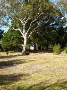 1 Edward St Birdwood SA 5234 $175,000 LARGE PARK-LIKE SETTING - 2244 SQM Property ID: 7970111 Enjoy the country life with all the conveniences of the township. This magnificent allotment of a large 2244 sqm has mains water, power and CED on the property. Enjoy a picnic, under the pines by the winter creek, on this very private oasis. Ready to build – just connect to the services and enjoy. Price $175,000 Land Area 	 2,244.0 sqm 