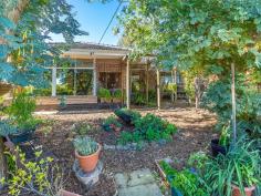 7 Belaire Terrace, Kelmscott WA 6111 If you are looking for a real hills home with a natural bush and tree lined block then this is for you. The home is nestled away camouflaged by the fabulous natural bush front garden offering you a relaxed lifestyle and mother nature on your doorstep. OOH LA LA!! The three bedroom one bathroom home sits on a large 809m2 block in one of the best streets in Clifton Hills. The home itself has a welcoming formal entry with the spacious lounge and separate dining area accessed from here. The lounge has a fabulous outlook to the front garden and has gas heating and has split system air-conditioning for all year round comfort. The dining area can also be used as a study area if needed. There is a new feature galley kitchen to cook up a storm which has an abundance of workbench space, this was installed in 2016 along with the large stunning bathroom which has a separate bath and shower and twin sinks for those busy school day mornings. Adjacent to the kitchen is a dual purpose area, this can be used as a family/entertaining area or you could utilise it for your your casual meals, its up to you. The bedrooms are located together, all are very spacious, the main has a large built in robe and one of the guest rooms currently occupies two single beds and still has plenty of room. The bedrooms are serviced by a large laundry, separate WC and the stunning new bathroom. Other features of this home include new ceilings, new carpets to the three bedrooms, new gas hot water system installed in October 2016, fresh paint, air conditioning to the lounge and main bedroom, numerous fruit trees, rain water tank plus much more. The backyard is feature packed. A new full length patio has just been installed along with a new roll on lawn, which makes entertaining friends and family an absolute delight. The kids will love the new lawn play area and there is a large workshop with drive through access for the DIY enthusiast. All in all this is a fabulous starter home or downsizer, as there is something here for everyone. To view call now or look out for the advertised home opens, This is a super home at a super price! Features Air Conditioning Built In Robes First Home Buyer Fully Fenced Gas Heating Gas Hot Water Service Outdoor Entertaining Reverse Cycle Aircon Water Tank Workshop