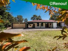 32 Chipping Ct, Woodridge WA 6041 $495,000 Presented by Greg Voudouris of Renouf Real Estate. When you move to the country, you don’t do so to be surrounded by scrubby bush – you want TALL TREES – that’s why it’s called a “tree change”, not a “bush change”. As you will see in the photos, this expansive block has magnificent trees all around the house. Accordingly, the current Owner bought this property because it reminded him of where he used to live in New Zealand. This solid 4 bedroom, 2 bathroom house, is located at the whisper quiet end of a cul-de-sac, on a large 2.02Ha (5 acre) block. If you have children, you will appreciate that there are both formal and informal living areas, separated by a modern central kitchen. There is an expansive patio for outdoor living, with cafe blinds to manage the morning easterlies, and a pizza oven that can also be used for smoking food. At the back of the house is a vinyl liner swimming pool, that needs a new liner and other repairs. I have a quote from the original pool builder, if you would consider restoring the pool. Alternatively, the pool could be removed and the hole filled in, to reduce maintenance. There is a garage adjacent to the house that can accommodate 4 cars. Gardens around the house are reticulated from a bore. This eco friendly property has both a solar hot water system and solar electricity panels on the roof, to offset rapidly rising electricity costs. This standout property provides a relaxing rural lifestyle at a very affordable price, so if it is a tree change you’re seeking, call me, GREG VOUDOURIS, on 0438072531, to arrange your inspection.
