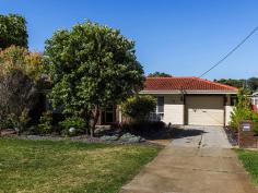 13 Kitson St, Rockingham WA 6168 $448,000 This spacious 3brm, 2bthroom home boasts a large dining and living area with a functional kitchen, large swimming pool with patio and veranda perfect for entertaining all year round. Only 3.8km to the beautiful Rockingham foreshore. Close to schools, shops, restaurants, cafes and Rockingham Train Station. This home is sure to be a winner for those looking for a relaxed coastal lifestyle. Key Features Security Roller Shutters Solar Panels (providing lower power bills per quarter) Large swimming pool/ patio and veranda New gas hot water system Reverse cycle air conditioner/Gas heater Bar area Spacious living area which can be converted to a games room Functional Kitchen with ample storage Second bathroom doubles as a pool shower Fully powered shed Bore reticulation/ 3 rain water tanks Garage space for 2 cars with roller door for added security Built in robes with mirror doors in all the bedrooms Call Walter on 0407381928 for inspection or home open times