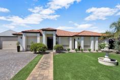 13 Wattle Ave, Dry Creek SA 5094 AT A GLANCE: *5 Bedrooms *3 Bathrooms *Study *Home Theatre *Games Room *In-ground Pool *Open Plan Living *Multiple Car Parking *Living Area approx 297m2 This huge family home is an opportunity not to be missed. Purposely built in 2001 for extended family living in this ever so popular Northern Suburbs District. The floor plan seems never ending, which means there is plenty of space for family and guests alike. Offering a very attractive faade behind a solid built fence with auto gate entry and lovely landscaped gardens. The floor plan is never ending, which means there is plenty of space for family and guests alike. Offering 5 bedrooms plus a study, master with ensuite and walk-in robe, bedroom 2 with walk-in robe, all others with built-in robes. The hub of the home is the fantastic open plan living area comprising kitchen with twin oven and gas cook top, dishwasher, plenty of built-ins including storage cupboards, walk-in pantry and bench space. The adjacent dining and family areas have a combustion heater to keep you warm in those colder months and there is large sliding door accessing the spacious undercover patio/barbeque area. For those movie buffs why not enjoy nights at home in the huge Theatre room, or be a bit more active and head to the games room. Other features include 17kw ducted reverse cycle air conditioning, easy care floor tiling, carpet, rainwater tanks, 5kw solar panels and roller shutters to name just a few. Step outside and you will find a huge verandah overlooking the sparkling in-ground pool, ready for your summer enjoyment, or why not try the adjacent spa/sauna room complete with shower and wc. No parking problems here, as there is a double lockup garage/workshop at the rear, double length carport with roller door and plenty of driveway parking available. All gardens areas are beautifully maintained with plenty of paving, lawn, established palms and plants. As you can see there's something for everyone! Contact the Agent for more details.