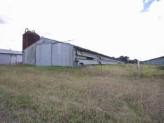 2544 Wisemans Ferry Road Mangrove Mountain NSW 2250 $2,950,000 Currently disused for chicken growing and waiting for an entrepreneurial grower to take advantage of the 7 chicken sheds, this farm is located on level land of 5.1 hectares (12 acres). The owner says there is plenty of spring water from 3 bores one licensed for 18 meg with on-site rainwater storage as well. The large family home the vendor estimates is 300 m2 downstairs and 150 m2 upstairs, could be set up to accommodate 2 families, but currently has 7 bedrooms, master with ensuite and walk in robe, formal lounge and dining area, TV room, Eat in kitchen and family area. The double garage has been converted to a work room and there is also an office. The rear verandah which has a 90,000-litre water tank underneath as described by the vendor, overlooks the in-ground swimming pool and onwards towards the farm. The sheds where used for growing chickens for many decades and have in part been upgraded by the previous owners. The current owners bought the property in 2003 and farmed for a few years after that, but the farm has been left disused for many years. In total, there were 8 sheds and the vendor said that would provide a total capacity of about 137,000 birds. The last batches the vendor said they grew on average 5.5 batches a year, roughly 17,000 birds per shed (total at that time 7 operational sheds) - around 654,500 birds per annum @ 5.5 batches. The property is tired, the house and chicken sheds need work, but for a good business minded astute farmer, progressive upgrading of this farm may with appropriate grower contracts and approvals, turn this tired old farm into a great money earning venture. The land is zoned RU1 - Permitted without consent; Extensive agriculture; Home occupations; Horticulture; Viticulture. Permitted with consent; Animal boarding or training establishments; Aquaculture; Bed and breakfast accommodation; Dwelling houses; Environmental protection works; Extractive industries; Farm buildings; Farm stay accommodation; Forestry; Garden centres; Home-based child care; Intensive livestock agriculture; Intensive plant agriculture; Landscaping material supplies; Open cut mining; Plant nurseries; Recreation areas; Roads; Roadside stalls; Rural industries; Rural workers' dwellings; Secondary dwellings; Veterinary hospitals; Water Storage Facilities.