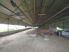 2544 Wisemans Ferry Road Mangrove Mountain NSW 2250 $2,950,000 Currently disused for chicken growing and waiting for an entrepreneurial grower to take advantage of the 7 chicken sheds, this farm is located on level land of 5.1 hectares (12 acres). The owner says there is plenty of spring water from 3 bores one licensed for 18 meg with on-site rainwater storage as well. The large family home the vendor estimates is 300 m2 downstairs and 150 m2 upstairs, could be set up to accommodate 2 families, but currently has 7 bedrooms, master with ensuite and walk in robe, formal lounge and dining area, TV room, Eat in kitchen and family area. The double garage has been converted to a work room and there is also an office. The rear verandah which has a 90,000-litre water tank underneath as described by the vendor, overlooks the in-ground swimming pool and onwards towards the farm. The sheds where used for growing chickens for many decades and have in part been upgraded by the previous owners. The current owners bought the property in 2003 and farmed for a few years after that, but the farm has been left disused for many years. In total, there were 8 sheds and the vendor said that would provide a total capacity of about 137,000 birds. The last batches the vendor said they grew on average 5.5 batches a year, roughly 17,000 birds per shed (total at that time 7 operational sheds) - around 654,500 birds per annum @ 5.5 batches. The property is tired, the house and chicken sheds need work, but for a good business minded astute farmer, progressive upgrading of this farm may with appropriate grower contracts and approvals, turn this tired old farm into a great money earning venture. The land is zoned RU1 - Permitted without consent; Extensive agriculture; Home occupations; Horticulture; Viticulture. Permitted with consent; Animal boarding or training establishments; Aquaculture; Bed and breakfast accommodation; Dwelling houses; Environmental protection works; Extractive industries; Farm buildings; Farm stay accommodation; Forestry; Garden centres; Home-based child care; Intensive livestock agriculture; Intensive plant agriculture; Landscaping material supplies; Open cut mining; Plant nurseries; Recreation areas; Roads; Roadside stalls; Rural industries; Rural workers' dwellings; Secondary dwellings; Veterinary hospitals; Water Storage Facilities.