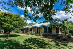665 Forest Reefs Road Forest Reefs NSW 2798 $899,000 Fully renovated superb family home Polished floor boards and raked ceilings Decked verandah on all sides Wood fire and R/C split system ducted 100,000 litre water tank plus 3,000gph bore, suitable for drinking 9x6 metre garage, 6x6 metre carport plus 7x4.5 metre shed.