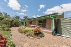 337 Reads Road Bucca QLD 4670 $349,000+ The very thought of acreage living so incredibly close to the Bundaberg CBD is fast becoming a distant memory. These valuable established acreage properties are becoming the cream of the crop, this one certainly no exception! 337 Reads Road, Bucca is just minutes to the local tavern, primary school & quality fishing spots. Striking appeal from the roadside, this rustic style home of solid brick construction, gives a warm & fuzzy feel as you enter the property. Boasting four bedrooms with multiple living areas and full length verandas across the front & back of the home. The master suite is set at one end, complete with a huge walk-in robe. The other three bedrooms are a very generous size, all having built ins and ceiling fans. The bathroom has recently been updated, consisting of a quality timber vanity, oozing the country vibe. The open plan kitchen has a generous amount of cupboard & bench space, designed to allow entertaining guests in the family room, while preparing your favourite country-style roast dinner. To further compliment this delightful acreage residence is the abundance of all the established gardens & fruit trees. The surrounds are meticulously maintained, and has been designed for ongoing easy care. There is irrigation to certain trees & gardens and a domestic bore allows you to retain a beautiful look all year round. The two large rainwater tanks connected to the home, which are also filtered, allows you very comfortable consumption & use. And in the event of a power outage, you are backed up by a 3.5kva generator until the storm passes. Multiple sheds are a must, consisting of a large powered machinery shed with heaps of shelving & workbenches. There are two additional sheds to store your lawn & garden equipment. There is so much infrastructure on this property, and it all can’t be mentioned – an inspection will blow you away, and the price even more so! 337 Reads Road, Bucca feature’s:- Built 1991 Master bedroom with walk-in robe 3 Bedrooms with built in’s Two separate living areas Functional country style kitchen Security screens throughout Insulated roof with whirly bird ventilation 12 panel solar power system Full length verandas front & back, including an enclosed entertaining area Multiple rainwater tanks filtered to the household Domestic bore, 3.5kva generator Large powered machinery shed, additional garden equipment sheds 9231sqm fully fenced block with front gate Close to schools, local country pubs, quality fishing spots – 30km to CBD