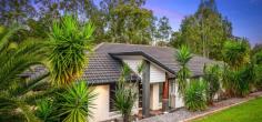 12-14 Goldfinch Court Greenbank QLD 4124 $550,000 + Looking for private, peaceful, tranquil and set amongst some of the finest bush surroundings that Greenbank has to offer, then look no further 12-14 Goldfinch Ct Greenbank. The property has been presented perfectly for that family looking at getting into the acreage market. Sitting on a 4000sqm / 1 Acre with no back neighbour offering you total privacy as you set your eyes out to the bushland that lines the boundary. The home inside offers multiple living situations for that growing family with 4 bedrooms all with built-ins, the master bedroom is situated at the far corner of the home for total privacy, air conditioning & ensuite with dual sinks for that busy morning rush. The 3 other bedrooms all with built-ins, ceiling fans and the main bathroom close by. A 5th room is a study allowing kids to complete their homework away from the hustle and bustle of the main living areas. The kitchen takes centre stage and has easy access to all living area's. Dining, family and a separate media room are your choices inside and the outdoor alfresco is directly off the kitchen allowing easy conversations while entertaining. The kitchen offers 900mm Gas freestanding oven, stone benches with breakfast bench, pantry. Other feature's inc: Tiled flooring, air conditioning, ceiling fans, small shed, separate laundry, double car garage, dishwasher, tiled to ceiling ensuite, built in roof speakers, alarm system, concrete driveway, Age - 10yrs. All information provided has been obtained from sources we believe to be accurate, however, we cannot guarantee the information is accurate and we accept no liability for any errors or omissions (including but not limited to a property's land size, floor plans and size, building age and condition) Interested parties should make their own enquiries and obtain their own legal advice.