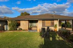 122 Easton Rd, Castletown WA 6450 $375,000 Glowing Jarrah floors accentuate the fabulous floorplan of this remodelled brick veneer home. Front formal lounge opening onto timber highlighted kitchen overlooking huge dining area and family zone. 3 bedrooms, (2 with BIR's), tile fire and big, semi enclosed, gable roof patio.
