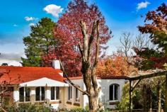 13 Old Wingello Rd Bundanoon NSW 2578 $680,000 - $720,000 A solid home offering something different. The painted brick and tile home has a Spanish flair with arched timber casement windows a feature of the property ensuring a garden vista from every room. Living areas all offer a perfect northern aspect with raked ceilings a feature of the grand living / dining space. Entry hall offers a good space easily converted to a home office if needed A new, modern centrally located kitchen with new appliances is the hub of the home with the perfect built in window seat for your morning coffee The sunroom is also currently used as a possible 4th bedroom / guest room and would make a perfect artist studio overlooking the splashes of colour in the rear yard All bedrooms have built in robes with the master accommodating a large walk in and direct access to the combined ensuite / laundry room There is a new S/C fire and numerous split systems for cooling and heating throughout Single garage with workshop space, garden shed and utilities shed at rear A private, terraced area off the living and kitchen offers another space to entertain and enjoy the stunning established gardens. A lovely mix of deciduous trees, shrubs and roses in this well fenced and privately positioned home. Brilliant location within this gorgeous village and an easy stroll to everything.
