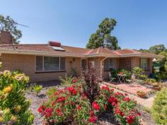 12 Hefron Street Mount Helena WA 6082 $425,000 Built in 1970 and boasting a renovated kitchen, 4 good-sized bedrooms and 1.5 bathrooms, this brick and tile home sits on ½ an acre at the end of a quiet cul-de-sac. A park and playground opposite, 2 sheds and reticulated easy care gardens add to the amenity of this move-in-ready property – an attractive option for first home buyers and downsizers. 4 bed 1 bath 2 W.C. 1970 brick and tile Renovated kitchen O-Plan living/meals Good-size bedrooms Fully tiled bathroom Easy-care gardens Shed & pwd garage ½-acre on cul-de-sac Walk town & schools This neat and tidy 4 bedroom, 1 bathroom, 2 W.C. home features a renovated kitchen, 4 good-sized bedrooms and is set on ½ an acre with 2 sheds – one powered – easy-care gardens and a large rear patio. An excellent opportunity for first home buyers and downsizers to discover the Hills lifestyle in a well-presented, well-positioned brick and tile home. Easy-care gardens and a wide patio create a private entrance and screen the home from the road. An entry hall leads to the L-shaped living/dining room through sliding glass doors. A large picture window ensures ample natural light and views of the reticulated gardens while reverse cycle air-conditioning delivers year-round comfort. The renovated kitchen adjoins the dining area and boasts a subway tile splashback, a 5-burner, freestanding oven and a dishwasher — timber-look benchtops and ample storage complete this practical, updated workspace. Four good-sized bedrooms – 3 with built-in robes – enjoy garden views and are bathed in natural light, thanks to picture windows. The bedrooms share the fully tiled family bathroom and a separate W.C. A second separate W.C. is situated in the spacious laundry set to one side of the rear verandah. The elevated rear verandah looks out across the landscaped back garden and offers ample space for outdoor entertaining. To either side of the dual-entry lot are 2 sheds, the larger – 3.5 m x 9 m – is powered, has remote access entry and with drive-in access is suited to use as a garage. A second shed measuring 3.5 m x 6 m offers practical storage space with drive-in access. With freshly painted door and window frames, a renovated kitchen and good-sized bedrooms, this well-presented property is an attractive offering. Set on more than ½ an acre at the end of a quiet cul-de-sac, opposite a sizeable park and playground, the charming village of Mount Helena, local schools and access to the much-loved Heritage Trail are all within easy reach. To arrange an inspection of this property or for friendly real estate advice from proven performers call Bob Johnston on 0429 956 378 or Jan Johnston on 0427 956 378...
