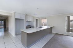23 Roscoe Ave Hamilton VIC 3300 $399,000 Five Bedroom Family Home in Great Location Located in quiet Street less than ten minutes walk to CBD, Lake, shops and Schools Ideal for a family with 4 bedrooms plus study/fifth bedroom & gas central heating Click on external link below for your VIRTUAL TOUR….. Large open plan dining/lounge/kitchen with large split system & alfresco area Kitchen has massive walk in pantry, gas cooking, dishwasher & island bench Family bathroom has separate shower, bath and vanity and separate toilet 2nd living area at front of house beside master bedroom with ensuite & walk in robe All other bedrooms have built in robes, ceiling fans with a large study/5th bedroom Laundry has ample cupboards with outside access to full color bond fencing yard Double garage with remote plus roller door to allow back yard access This home is surprisingly large when inside with excellent floorplan for the family Act quickly because all of these mod cons at this price this home will sell fast…….