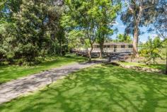 38 Chamberlain Road Wyoming NSW 2250 Sitting on just over 1 acre of parklike grounds with perfect north-east aspect and overlooking a freshwater creek meandering through shaded landscaped grounds, is this superbly renovated large 3-bedroom, single level home. The sophistication and high quality of the renovations reflects the owners’ North American inspired design, decorative skills and fine tastes. The property offers separate front and rear gated entrances, a double garage and expansive private enclosed courtyard and pool complex. Facing north is an enormous covered terrace perfect for outdoor entertaining. There is an additional backyard area with established fruit trees and raised garden beds. The immediate impression upon stepping into the house is of a grand open plan living space featuring beautiful tiled flooring throughout, a superbly arranged and incredibly functional kitchen with an oversized island and stone waterfall countertops. The bedrooms are substantially oversized with walk-in closets and are presented to the highest of standards. Both the main and ensuite bathrooms are fully renovated and reflect unique design cues from the US. There is an additional half bathroom for the pool area along with an outdoor hot and cold shower. – Stunning level small acreage on meandering stream – Unique floor and wall tiling throughout compliment the high level of restoration – New kitchen appliances – Zoned, Ducted reverse air conditioning – Large, North facing covered entertaining terrace – In-ground saltwater concrete pool – Rainwater tanks – Minutes from shops and Gosford train station – Potential for further development due to land size and dual-access, STCA…