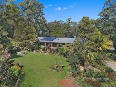 275 Corks Pocket Road Reesville QLD 4552 $730,000 This is the one you have been waiting for! Undoubtedly the most sought after land size and the hardest to find is the small acreage of 2-5 acres, well here it is but you'll need to be quick! * Private, peaceful location, 3.5 acres of bushland, open lawn, fruit trees & huge veggie garden all just 10 mins to Maleny * Spacious timber home features, polished floors, 3 beds, 2 baths, an office, huge covered decks & reverse cycle A/C * Master bedroom with ensuite and WIR enjoys tranquil views and access to the deck * Five car accommodation, caravan port, 3kw solar system plus mains power is an added bonus The open plan home features, polished timber floors, 3 bedrooms with built-ins, an office also with built in storage and a huge amount of space for entertaining on the decks. The master bedroom with ensuite and walk in robe enjoys tranquil views and access to the deck, ensuring your relaxation. In addition to the two car accommodation under the home there is also a 6x6 workshop with power and a carport for extra storage plus the huge caravan port with easy drive through access. Over 20,000 gallons of water storage. Save on your electricity bills with an impressive solar array in addition to mains power. Families will appreciate the convenience of a school bus service right to the driveway and the kids will revel in the space to play and run, there is even a cubby house! The owners have created a sense of space and privacy both in the home and around the property, but its time for the next adventure so you will benefit from all their hard work. Inspection is a must! All information contained herein is gathered from sources we believe to be reliable. However, we cannot guarantee its accuracy and interested persons should rely on their own enquiries.