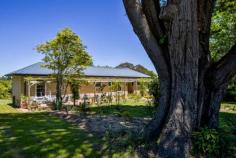 36 Nerrim St Bundanoon NSW 2578 $995,000 This old gem was the original homestead in Nerrim Street with construction started in 1953 and sympathetically restored in the last 12 months. The current owners have retained much of the charm and character of this cottage whilst ensuring modern convenience for an ease of living. All the external fibro has been removed, walls fully insulated and fibro replaced with Heritage profile timber weatherboards. The iron roof has been fully restored and new downpipes and guttering added; Old world charm throughout with high ceilings, timber floor boards, French doors, stained glass, claw foot bath, high skirtings and so much more; Cosy country kitchen with quality appliances offers views over the sun drenched north facing garden and flows to the intimate breakfast room or possible home office with its own entry off the front deck, both a lovely place for your morning coffee or work from home space; Main living area is grand in scale with a gas fireplace the focal point of this generous space which offers formal dining and lounge and accesses the rear deck via French doors; Master suite is also sizeable with excellent double robes and fully renovated period bathroom with claw foot bath; Guest/family wing offers another 3 double light filled rooms with views over the cottage gardens all serviced via the main bathroom which is also fully renovated; Laundry has excellent storage options and accesses the rear yard; Main heating is via a gas fireplace together with reverse cycle split a/c; and Nobo room heaters in all bedrooms and hallway. The house is fully insulated, with insulation under floor in certain rooms as well. Electricity charges are off-set via the 6Kw solar system with 5Kw inverter; Positioned to maximise the northern sunshine, the home offers a bright and airy feel throughout, further enhanced by the 9ft ceilings and large timber windows; Outdoor entertaining is via a long east facing deck overlooking the rear established garden and pond with large open lawn areas for the family to enjoy or the front terrace bathed in northern sunshine under the vine draped pergola. The property is fully fenced with excellent side access for the caravan or trailer with a double garage to the frontage perfect for 2 cars and workshop space. The garden is a lovely mix of colour, old oak trees, shrubs and roses. Situated in a quiet cul-de-sac, this elevated property takes in a green distant local outlook and is only a 15 minute casual stroll to the village of Bundanoon.