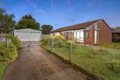 74 Lyrebird Drive Carrum Downs VIC 3201 $450,000 - $495,000 Surrounded by reserves and just 1 kilometre to both Carrum Downs Regional Shopping Centre and Flinders College, this three-bedroom home on 651m2 (approx) is teeming with opportunity to break into the market, boost your investment portfolio or subdivide (STCA) to build a second property in the rear and make a mint. Offering excellent bones over a single level with superb natural light, on-trend arched doorways and ample scope to update and add your own style throughout, the home includes two spacious living areas to comfortably spread out. A sunny kitchen with gas stove shares the open flow with the family/dining room, while outside you'll find a long covered verandah and generous backyard to relish outdoor living and entertaining, with ample room for the kids to run around. The original bathroom with shower, tub and two-way toilet accessible via the laundry, services the three bedrooms in this renovator's delight, which includes built-in robes in all rooms, a gas furnace, ceiling fan and a double garage. Located 50 minutes from Melbourne, 7 minutes to the beach and 5 minutes to golf courses, this property will suit a range of buyers, from couples and families to downsizers. Should you require any further information, please do not hesitate to contact Ashley Weston on 0439 101 677 or Andrew Condon on 0407 766 774 anytime. Please note Photo ID required for all inspections and masks must be worn indoors (with the exception of medical exemptions). If you are not showing any signs of being unwell and have not travelled overseas in the last 14 days or been in contact with someone who has, inspections are encouraged and most welcome. We may respectfully decline access to certain attendees if we feel it is in the best interest of our clients and the greater community.