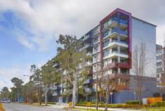 301/51 Mort St Braddon ACT 2612 $420,000+ With an ultra-convenient setting in one of Australia's most up and coming hippest suburbs right now and home to the trendsetters of Canberra is this rare opportunity to purchase this as new one bedroom apartment with built-ins. Featuring its own balcony; this superbly constructed property is a perfect combination of tasteful interiors streaming with natural light throughout designed to operate efficiently and cost effectively. It's in a stylish complex promoting easy care living, short walk to Canberra's CBD. Just picture yourself waking up on a Saturday morning, catching the lift downstairs, then only a moment stroll to the vibrant and evolving cafe precinct of Braddon. You are that close! Be quick as a property presenting this much value with this minimal price tag will not be around for long; Phone today to arrange an inspection! • One bedroom with large built-in-robe • Secure parking for one car with additional basement storage • Convenient lift access • Pay TV & data outlet to living room • Stone bench tops • Smeg Touch Control Ceramic Cooktop • Smeg range hood (recirculating) • Smeg Dishwasher • Smeg Microwave Oven..