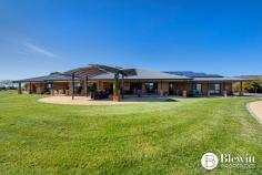 28 Beacon Place Googong NSW 2620 $2,100,000 With commanding 360-degree views from the top of the hill sits this grand residence sprawling over 557.1m2 under one roof line. There is an additional 113.7m2 of verandahs plus covered entertaining areas as well as garaging. The property has surveillance cameras, electric gate and intercom. Through the gate you are lead up the long tree and light-lined sealed driveway to the grand home. The home consists of a large formal lounge and dining room at the front that leads you to a stunning open plan kitchen and family meals area which overlooks the rear entertaining areas and gardens. The kitchen is an entertainer’s dream offering endless stone benches and storage. There is also a walk-in pantry that is large enough to get lost in. Down the extra wide hallway, you will find the massive rumpus/media room. This home offers a parent’s retreat like no other the size of which needs to be seen to be believed. This walk-in robe is fashionista’s dream and the large resort style ensuite offers spa, large shower, separate toilet and heated floors. The remaining 3 spacious bedrooms all offer built-in robes. This home offers two studies, the main study boasts its own entrance and is large enough to be split into 2 additional bedrooms. The second study is located at the opposite end of the home, providing flexible study/work from home options. There is a large three-way main bathroom which services the three bedrooms. Adjacent to this area is the functional and spacious laundry. At the garage end of the home there is a powder room. The oversized 3 car garage provides excellent storage and workshop space along with remote roller doors and internal access. There is also an oversized double garage perfect for any additional machinery. The fully fenced house yard is irrigated, landscaped and offers large level lawn areas along with easy care and established gardens including vegetable beds and fruit trees. There are front and rear covered entertaining spaces which overlook gardens and a stunning vista. The remainder of the property has been divided into paddocks with water troughs and shelter for stock. The current owners run Alpacas on the property. Features: – Grand formal lounge and dining room – Stunning open plan kitchen and family room – Large rumpus/media room – Retreat style master bedroom with walk-in robe and ensuite – Remaining bedrooms all spacious in size with built-in robes – Large home office offering its own entrance – Picturesque views from every room – Additional study at garage end of residence – 2.9m ceilings throughout – Double glazed windows throughout – Ducted reverse cycle air conditioning with 6 zones – Large covered entertaining spaces either side of the home – Oversized 3 car garage attached to house – Additional 2 car garage, 6m x 7m – Double carport attached to house – 110,000ltr concrete rainwater tank – Additional large water tank attached to shed – 500kl per annum bore water supply – 3 phase power to home – 240v power to front gate with driveway lights – 40+ solar panels – Sealed driveway – Automated irrigation system to gardens and lawns – 557.1m2 of house plus 113.7m2 of verandas 670.8m2 total covered – 2.41 Hectares (5.9 acres)