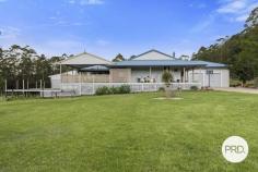 492 Timber Top Road Glenreagh NSW 2450 Superb location if you want to escape the madness of the world! This secluded property is so green & fertile you can grow anything to your hearts content. The crisp, clean air & frost free land of this 238 acre (96.06 Ha) property lies along the top of Timber Top Road. Scenes of "The Man from Snowy River" will be foremost in your mind as you take in the beauty of this high country level grazing land & the views of the Great Dividing Range beyond. The carefully renovated mountain homestead was originally the old school house from Tallawudjah - complete with all modern essentials & an extension that is more than adequate for the biggest family. Two living rooms, with fireplace & hardwood timber floors throughout, along with a separate studio complete with ensuite. High ceilings, period features & wrap around verandahs that take in the views out to the distant escarpment, all go to make this homestead a superb place to call home. Those wanting to escape the "new normal" & revert to the "old days" of carefree living will love what this property offers. The extensive infrastructure on this property has been set up so you can live completely off grid & self sufficient should you choose to. The property has also never been sprayed, so growing good food in the rich volcanic soil is sure to appeal to discerning buyers. Water is never a problem with 5 large water tanks adjacent to the homestead, sheds & dairy, ample rainfall to fill them & the 7 dams including one spring fed, scattered over the vast paddocks of lush pasture. Until recently, the owners have grown commercial avocado crops, and run 60 head of fat cattle easily. The farm is equipped with a dairy & comprehensive cattle yards, American style 12m X 11m Barn Shed with power connected, 2x 20m shipping containers with 10m roofing, 3kw Solar system plus mains power & back up generator in case of an outage. After a long day on the land you can cool off in the pool, and relax on the spacious deck overlooking the surrounding green paddocks & serene views as far as the eye can see. With no adjacent neighbours, you will love the complete seclusion & freedom to live life as you choose. Situated a convenient 10km to the quaint township of Glenreagh with primary school, corner store, pub, bakery & post office. The school bus picks up the kids nearby for schools around the area. A pleasant 45km drive on good roads to the City of Coffs Harbour with all city services, airport, hospital and superb beaches. Call for your inspection today.