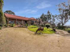 85 Brewer Dr West Wodonga VIC 3690 Situated on a large 4790m2 allotment in a prime West Wodonga location, easy access to the Hume Freeway, local schools, Latrobe University, medical centres, Wodonga Golf Club, and a short drive to Wodonga’s CBD. Upon entry the quality of this substantial home is immediately evident. The thoughtful design split over three levels features magnificent views, natural light, and numerous accommodation options with the ability to offer up to seven (7) bedrooms. Currently being utilized with four (4) bedrooms, including one privately located downstairs with its own bathroom/ensuite, plus an attached two (2) bedroom self-contained unit or ‘granny flat’, At the heart of the home is a spacious open plan design incorporating lounge, dining, and kitchen spaces with a separate study. An ultra-modern full family bathroom, theatre/rumpus room, attic and a fantastic shop space/ home business complete the internal floor plan. Outside the ‘park like’ surrounds are extremely well established and create a private oasis, also consisting of excellent shedding, under house workshop/storage area, small orchard, chook yard, outdoor dining/entertaining areas, and an impressive clear water in ground swimming pool. Other features include: - Evaporative cooling - ducted gas floor heating - Wood fire heating - Overhead fans throughout - Multiple split systems - 5.0 kW Solar Power - Multiple living areas, and a floor plan with many possibilities - Lock up safe