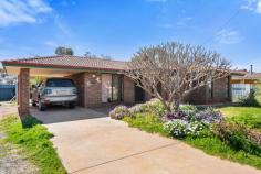 15 Flanagan Parade Hannans WA 6430 $310,000 This property is a great place to enter the market – Set in a popular Hannans Location, close to parks, Bushland Walks, Primary School and Shopping Centre. It also provides: – • Brick & tile structure • Built in 1983 • 834sqm lot • R20 Zoning • Three bedrooms – robes in two • Main bathroom, housing shower, bath and vanity • Spacious lounge room • Functional kitchen • Connected to natural gas • 12 x 6 Powered shed with access • Single carport, but plenty of room for parking This property will be available for a new home owner to move into and make it home.