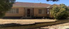 27 Johnston St Wongan Hills WA 6603 $285,000 4 bedroom 1 bathroom brick & tile home sitting on a generous sized 1126m2 easy care block. Welcome! Through the front door to your left, you will find a generous sized carpeted living area, reverse cycle A/C for warmer days & heating for the cooler ones. To your right of the front door you will find the carpeted hallway leading up to 3 of the 4 bedrooms, bathroom & W/C. The open plan dining / kitchen area is located off the living area. Double sliding glass doors seperate these two areas. The dining is carpeted with sliding doors allowing access to back patio area, while the kitchen has laminate flooring, reverse cycle A/C, single stainless steel sink, gas cooking, in built pantry & seperate cleaning storage cupboard. The laundry is accessible via the kitchen, but also the hallway area. The laminate flooring in the kitchen flows through to the large open laundry area. The laundry has access to the back patio area. Large 170L Midea HWS located in corner of back patio area. The master room is carpeted, has large floor to ceiling built in robes & reverse cycle A/C. Bedroom 2 & 3 are both carpeted & also have a reverse cycle A/C. Bathroom is central to the home with wall to wall mounted vanity, good sized mirror, large shower recess & heating/lighting/exhaust. There is a small patio at the rear of the home with access to a spacious 4th bedroom, office, toy room or whatever your needs require. A small brick paved area at the base of the patio allows some more room for entertainment or a great place to sit back & watch the children enjoy the below ground swimming pool. Large double garage for storage needs with side driveway access, accessible via Reynoldson Street. While there is a small garden shed located near the pool for all those pool storage needs. Great location within walking distance to the local district high school, chemist, post office & IGA to name a few!!