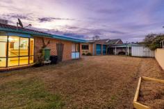412 Schaefer St Lavington NSW 2641 $449,000 Presented here is a 4 bedroom (3 + study option), 2 living rooms, double lockup garage/workshop plus a double carport. The home includes brand new carpet throughout the home, gas heating, ducted cooling, built-in robes in 3 bedrooms and a main bathroom. There is a second en-suite bathroom adjacent to the study and with a reconfiguration of the design, I am sure there would be an opportunity to offer a master bedroom with one of the bathrooms. This is a very liveable home, however please be advised there is a few items to finish off like some tiling in the laundry etc. There is a formal lounge, fireplace, rumpus room, meals room with a bay window bringing in beautiful natural light. The kitchen is spacious and offers good workbench and cupboard space and a stainless steel gas stove. The laundry is off to the side hall with leads outdoors to a covered pergola area. The brick double lockup garage at the rear also comprises a separate storeroom which is a wonderful addition. The 706sqm block is relatively flat with through carport access to the rear. Prime family area with a Catholic school and childcare toward the other end of the street, a high school where all our kids went to school around the corner and Lavington East Primary within walking distance.
