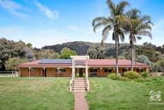 1 Platypus Court Baranduda VIC 3691 $1,200,000 Set on just over an acre of land in old Baranduda, this four-bedroom two bath home is waiting for you. With beautiful rolling green lawns, substantial shedding, an inviting pool and an entertainment area, this property offers a lifestyle most can only imagine. The home is positioned on the block with privacy in mind and enclosed by fencing for added security. The salt-chlorinated pool is beautifully landscaped with sandstone paving and retaining walls with a glass fence, create a seamless flow from the entertaining area to the poolside. With summer days sorted, the potbelly fire is perfect for winter nights. Custom-designed Spanline screens enclose the paved entertaining area. An enclosed gazebo can be utilised as a pool house or added entertaining space. Those with cars, boats and other toys will be impressed with the approx. 11x11.5m barn shed, with three roller doors at the front. A loft space inside and a workshop at the back provides extra overhead storage and space. A double lock-up garage at the front affords two extra car spaces, all with easy access at the side of the property. The home is just as impressive as the yard. Built with steel framing, the interior has been fastidiously maintained. The Blackwood kitchen features gas cooking, a new dishwasher and a ducted vacuum system throughout, making cleaning a breeze. All year comfort is provided via ducted heating and evaporative cooling whilst bills are kept low with a 4kw solar system. The master suite has a walk-in wardrobe, ensuite and a beautiful leadlight window feature. The three additional bedrooms all containing built-in robes and new blinds. A separate study adds further flexibility as an ideal home office or fifth bedroom. Centrally positioned, the main bathroom has a jetted spa, separate shower and toilet.