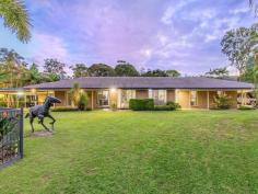 22 Charles Kurz Drive WORONGARY QLD 4213 Secluded from the street and accessed via a long, well landscaped driveway, you will discover a little piece of paradise in the highly sought Charles Kurz Drive. Set on a fully fenced, flat and completely usable 5,520sqm parcel, this privately positioned home will exceed your expectations. The single level abode offers four bedrooms as well as several spacious living areas ideal for family relaxation and a centrally located kitchen ensures that entertaining is a breeze. Outside a large undercover area provides plenty of space for year-round enjoyment and the large, saltwater pool is the perfect place for summertime fun. A large workshop with air-conditioned office and storeroom provides the ideal opportunity to run a home business or store additional vehicles with drive through access via roller doors at each end. Rolling green lawns invite children and pets to play happily in the fully fenced property and there is even room for a pony as it is an easy ride to the dressage arena of Pioneer Downs Park at the end of the street. Ideally situated within a short drive to all amenities including Worongary Shopping Village, Mudgeeraba Market, schools and restaurants as well as convenient access to the M1 motorway Main features: • Centrally located kitchen featuring quality appliances including gas cooktop, oven, rangehood and dishwasher, plenty of bench and cupboard space • Expansive, light-filled dining and living areas • Separate carpeted lounge room • Master bedroom with walk-in robe and modern ensuite • Three additional bedrooms • Renovated main bathroom with stylish fixtures and fittings • Expansive alfresco dining area • Large sparkling inground pool with covered entertaining area for poolside relaxation • Separate laundry • Triple carport including caravan accommodation • Expansive shed/workshop with air-conditioned office and storeroom Additional Features: • Ducted air conditioning and ceiling fans • Security screens • Electric hot water • Abundance of parking for boats, trailers, caravan, additional cars • Septic system • Rainwater tank • Two garden sheds Year built: 1986 Building Size: 360 sqm or 36 squares Land Size: 5,520 sqm Council Rates: Approx. $1,099 per half Location: Worongary is a family friendly location with quiet leafy surroundings and bush reserve. You will enjoy the welcoming atmosphere of the local Worongary Town Centre featuring Coles, local restaurants, cafes, takeaway options and all your shopping needs. Located within driving distance of the Gold Coast's most renowned schools including Somerset College, All Saints Anglican School, St Michael's College, Worongary Primary School and Gilston State School. Short drive to beautiful Gold Coast beaches and airport.