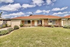 56 St Andrews Loop Cooloongup WA 6168 $369,000 This well-located home has been enjoyed by the current family for the past 27 years. You'll love the beautiful street appeal, multiple living areas, new kitchen, and much-loved backyard, complete with a spacious outdoor living area, large shed, and fenced-off veggie patch (Peter Rabbit's Garden). Ideally located in the popular Woodbridge Golf Course Estate, you are only a hop skip and a jump to the golf course, Don Cuthbertson Reserve, general hospital, train station, shopping complex, and only a short drive to Murdoch University's Rockingham Campus, TAFE, Kwinana Freeway, and Rockingham's stunning foreshore and our many family-friendly beaches. Ideally suited to the young family, retiree, savvy first home buyer, astute investor, or lock-and-leave FIFO/Navy personnel. - Reverse cycle air-conditioning to living and master bedroom - Two separate internal living areas plus spacious outdoor living - New kitchen built in 2021, with double fridge recess, soft close drawers and doors, and extra storage - King-sized master bedroom, with walk-in robe, air-conditioning, ceiling fan, and semi-ensuite - Good-sized minor bedrooms, one with a built-in robe - Semi-ensuite bathroom with separate shower and bath - Large patio with additional shade-cloth-covered gabled pergola - Automatic bore reticulation to lawns, gardens, and veggie patch - Energy efficient instant gas hot water system, ideal for lock and leave - Secure carport with auto sectional door and room to park a trailer at the rear
