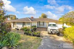 7 Yanna Place Wanneroo WA 6065 $399,000 Patience Brothers, Shane and Vern are proud to present 7 Yanna Place, Wanneroo to market. This neat 3 bedroom x 1 bathroom home is zoned R20/40 and is on a 725sqm block. The home is leased until early January. Features - * 3 Bedrooms * Main bathroom with shower and bath * Main bedroom with 4 door built in robe * Lounge room with gas bayonet * Formal dining area * Kitchen which has plenty of bench + cupboard space * Meals area * Ducted evaporative air conditioning * Sunroom * Two patio areas * Huge powered workshop with two roller doors which can be accessed from carport (Approximate size 6m x 6m) * Single carport which is double length and allows access to the workshop * Instantaneous gas hot water system