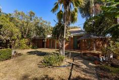 22 Chippindall Place Cable Beach WA 6726 $495,000 Discover a wonderful opportunity that blends comfort, convenience, and natural beauty. This delightful 3-bedroom, 1-bath home awaits you in a highly sought-after location, surrounded by a wealth of amenities and breathtaking landscapes. As you approach the property, you'll be drawn to its charming exterior, reflecting a warm and inviting atmosphere. Step inside the secure gated yard and into the home to find an open-plan lounge and dining area, creating a seamless space for relaxation and socializing. Adjacent to this is a well-appointed kitchen, designed with functionality and style in mind. There's also a large second living space with its own access off the driveway. Naturally, this clever design makes the space ideal as a home office or large studio, for those who work from home. Two of the bedrooms featureadditional "sleep outs" which provide a touch of luxury and allow for a variety of uses from spacious walk-in robe/dressing room, to home office space or even a cosy TV area. The stylish bathroom and separate toilet ensure privacy and convenience for residents and guests alike. Additionally, the internal laundry adds a practical element to your daily routine. Beyond the walls of the home lies an outdoor haven. The expansive outdoor space boasts two verandahs and a shade structure, offering you ideal areas to unwind and enjoy the natural surroundings. Whether you're hosting gatherings or simply seeking solace, these outdoor spaces provide the perfect setting. One of the property's highlights is the generous backyard, where you'll find ample greenery and a sizeable shed. This versatile space can be customized to suit your needs, whether it's for storage, pursuing hobbies, or creating a peaceful retreat. The property is well located for convenience and is close to a wealth of amenities. You'll find several shopping centers nearby, including Bunnings and the Boulevard Shopping Centre, ensuring convenience for all your retail needs. The University of Notre Dame, St. Mary's College, Cable Beach Primary School, and other educational institutions are also within easy reach, making this an ideal home for families and students. Additionally, the property's adjacency to reserves presents a ton of outdoor recreational opportunities. And if you're in the mood for beachside bliss, a short drive will take you to the picturesque Cable Beach. Explore walking trails, soak in stunning lookouts, and indulge in the beauty of nature.