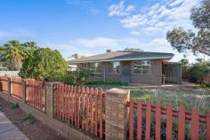 Unit 1/16 Varden St Piccadilly WA 6430 $309,000 This comfortable and affordable 3-bedroom quadruplex home has a lot to offer, featuring an open plan kitchen, dining and lounge area, separate laundry with double linen cupboards, good sized bedrooms all fitted with built in wardrobes, and a family bathroom with a shower, bath and vanity. The neat easy-care garden is fully fenced, with a patio to the side and a single carport. Features include: – Brick & tile structure – Open plan kitchen, dining & living space – 3 Bedrooms with built in wardrobes – 1 Bathroom & separate toilet – Laundry – Entertainment patio – Skylight in the kitchen & bathroom – Electric oven & gas stove top – Evaporative air-conditioning – Security alarm system – Garden shed & tool shed – Single carport – Easy-care garden – Gas heating & hot water system – Fully fenced corner unit – Built in 1991 on a 311sqm block – No Strata Fees