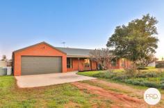 485 Fifth Street Merbein West VIC 3505 $670,000 - $730,000 This magnificent lifestyle property is situated on approximately 14.7 acres with 4 generously sized bedrooms, master with walk-in robe and spa bath in ensuite. The spacious family bathroom features a separate shower & bath. The study has built in cupboards and shelves making it practical. The home boasts a formal lounge and formal dining room as well as a gorgeous spacious kitchen complete with dishwasher, electric cooking and ample cupboard space all overlooking the large family dining/living area. Notable features include; reverse cycle heating and cooling, undercover entertaining area, swimming pool, 18 metre shed with power and concrete flooringand one end fitted with shower, toilet and heating and cooling, 6 car carport, 9m x 9m workshop with concrete flooring, power and hoist for the man who wants it all.3 Phase power,8kw solar power to ease those power bills,Lucerne and oats growing, plus acres of space for the motor bike track to be built, or agistment for horses,3 megs of water - the opportunities are endless. These types of properties don't come around often, so don't wait and inspect today.