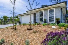 4 Lochinvar Dr Bundanoon NSW 2578 $1,325,000 A surprisingly sizeable weatherboard residence with a pretty facade, perfect for the growing family or when needing in-law accommodation. The floorplan allows for excellent separation between the master wing and family/guest wing. An extremely versatile floor plan in a 5-star locality. High points The master wing offers a generous ensuite, walk-in robe and intimate TV room or work from home space if needed and separated from other beds by the well positioned, centrally located kitchen/dining/family area. The family/guest wing at the rear of the residence houses a further 4 bedrooms, all doubles with built-in robes plus the main bathroom with separate wc and all accessed via another TV/games room. The kitchen/family space is bathed in sunshine via highlight windows and showcases a stunning galley kitchen with stone benchtops, oversized island, quality appliances and walk-in pantry and offers a seamless flow to the outdoor entertaining terrace under roof. Beautifully appointed throughout with a neutral colour palette and light filled living spaces, further enhanced via the 9ft ceilings, this home will appeal to many buyers in today’s market. Excellent storage options with built-in cabinetry in the laundry and double linen cupboard in the hallway. An added convenience is all town services, water tank reticulated to garden, toilets and laundry plus ducted a/c throughout. The home also offers an oversized garage with internal access and auto panel lift door, a much needed convenience, plus garden shed and bike shed at the rear of the property. Excellent location with direct access to the park, pool, oval and Club or an easy level walk to the village centre. Well fenced and easy care gardens with hedging in place to ensure privacy in the future.