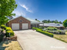 54 The Avenue Armidale NSW 2350 $1,000,000 - $1,100,000 Nestled within a peaceful and pristine neighborhood, 54 The Avenue invites you to experience the epitome of family living. This oversized brick home boasts impeccable street appeal, with meticulously manicured gardens and hedges that set the stage for an idyllic lifestyle. As you step inside this five-bedroom residence, you’ll immediately appreciate the attention to detail and comfort it offers. All five bedrooms feature built-in wardrobes. The master bedroom is a true retreat, complete with a walk-in wardrobe and a private ensuite for your convenience. The main three-way bathroom is a highlight of the home, featuring a luxurious free-standing claw-foot tub and a rain shower head, offering a spa-like experience for everyday indulgence. Throughout the house, new carpeting provides a fresh and inviting atmosphere. With three separate living areas, two of which are graced with cozy wood fireplaces. The heart of this family home is its generous kitchen, which boasts a walk-in pantry, gas cooking facilities, and a breakfast bar. This space will become the hub for family gatherings and culinary adventures. But it’s the outdoor spaces that truly set this property apart. The double lock-up garage with internal access ensures convenience and security for your vehicles. An undercover entertaining area features a built-in wood fire pizza oven, ideal for hosting friends and family. For those hot summer days, a fully fenced pool awaits, complete with an undercover cabana for shade and relaxation. The property also offers a lockable workshop, several fruit trees, and a garden shed for all your outdoor projects and storage needs. In addition, a separately fenced area is perfect for those who dream of keeping chickens or cultivating a vegetable garden. Sitting on an impressive block size of 2,102 square meters, this property offers space, privacy, and endless opportunities for a harmonious family lifestyle. Don’t miss the chance to make 54 The Avenue your new home and embrace the true essence of spacious and comfortable living. *We have obtained all information in this document from sources we believe to be reliable; however, we cannot guarantee its accuracy. Prospective purchasers are advised to carry out their own investigations.*