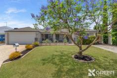 24 Naturaliste Dr Pinjarra WA 6208 $580,000 In a world where finding a home with both a great living space and a fantastic shed is like discovering a rare gem, this property stands out. A 4-bedroom 2-bathroom layout, plus a study, theater, and an extra activity room ensure everyone finds their perfect spot. Complete with ducted reverse cycle air con, comfort is guaranteed in every corner. Step into a double garage that grants convenient drive-thru access to a solid 9x6m powered man shed. The alfresco/patio area is tailor-made for entertaining, while the manageable lawn keeps life simple yet joyful for both kids and pets. This home has it all-come witness the allure yourself. Additional Features: – Below ground trampoline and cubby house for the kids – Fruit trees: peach, grape, lemon, and pomegranate – Tiled floors throughout with carpet in bedrooms – Spacious, open-plan kitchen with dining area – Solar panels – Parking for a boat or caravan – Attic storage and access Situated on a 608 sqm block within the Murray River Country Estate, this 159sqm home embodies the ideal family lifestyle. Here, rural charm meets suburban convenience- surrounded by golf courses, lakes, parks, ovals, you can visit your new local venue the Redcliff on the Murray for a cold beverage and delightful meals with the family, or visit Reds Zoo just 2 mins around the corner for a true wild life experience. You can enjoy the best of both worlds with easy access to hospitals, shopping centres, and the city via the nearby freeway.