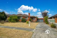 8 William Ave Hallam VIC 3803 $650,000 - $690,000 Nestled in the sought-after locale of Hallam, this property beckons those with a discerning eye for the perfect renovation project. Boasting an original charm with a tidy brick facade and well-maintained gardens, and separate double car garage. Featuring three bedrooms, the home presents an open floor plan anchored by a spacious living area complemented by hardwood floors, newly installed gas fireplace capable of warming the entire home. Adjacent to the lounge, the kitchen boasts a dedicated meals area, providing a seamless flow for everyday living. Step outside to discover a tranquil backyard with ample space, perfect for both children and pets to enjoy. Conveniently located a short stroll from schools, parkland, and public transport, this family home offers the ideal blend of comfort and convenience with tremendous uplift.