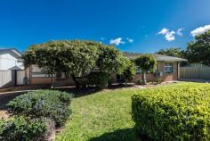 281 North West Coastal Highway Beresford WA 6530 High profile location with an extremely well presented and loved double brick character home. Located in the suburb of Beresford is this 1969 Pirone built home. Featuring large rooms, high ceilings, polished timber floors and decorative cornices. This has been a loved family home for many years and is ready for the next owners. The front of the home is neat and tidy with the added bonus of roller shutters on all of the front windows. The front door opens to a wide entrance with the original patterned glass timber framed sliding glass doors giving access to the air conditioned lounge room with stunning patterned ceilings. The kitchen comes off this area is neat with the original retro feel. There is also an extra room off this area that was the original car garage. The three bedrooms are spacious and all have ceiling fans master with air conditioning. The bathroom features a bath and separate shower. The rear of the property features a massive patio and deck as well as the large shed/workshop with auto door and lean to car or boat parking. The property is neat and ready for the new owners. Geraldton Council rates approximately $2,100 per annum Water rates approximately $1,339 per annum, deep sewer is connected 946 sqm block approximately with 27.2 meter frontage zoned R30 Ducted air conditioning from split system air conditioners Roller Shutters Auto roller door to shed Large patio and deck Rain water tank Built 1969 Current rental appraisal $470 - $520 per week Vacant possession available