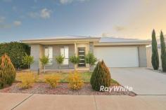 15 Milan Drive Irymple VIC 3498 $590,000 - $649,000 Situated in the ever popular suburb of Irymple comes this near new home, ideal for an array of purchasers with a design that makes living easy. With a formal separate lounge at the front of the home and open plan living space off your kitchen which includes an abundance of storage, this home provides the rooms you require within a comfortable design that is easy to maintain. Highlight design features include a private walk-way through to your master suite, offering a tucked away feel for parents whilst bedrooms two & three offer their own walk-in robes. The home is serviced by ducted & zoned reverse cycle heating & cooling and has been incredibly well maintained throughout. Outside entertaining becomes a breeze with a covered alfresco area, established garden and genuine side access through to a 6x9m shed with concrete floor, power & an additional toilet. The home is positioned within a family friendly location and provides an opportunity to secure a home with not too much to maintain, but the space that you desire with shedding and vehicle access. First home buyers, investors and downsizers alike will appreciate this super neat home.
