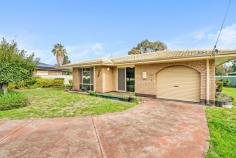 34 Palmer Way Mandurah WA 6210 $470,000 Discover the Potential at 34 Palmer Way, Mandurah! This charming solid brick home is the perfect opportunity for first home buyers, investors, and renovators looking to make their mark. Nestled on a substantial 841sqm block, this property offers ample space and potential for those seeking a solid investment or a cozy family home. Featuring three generous-sized bedrooms, this home ensures comfort and space for the whole family. The main living room is spacious. With a separate room for the kitchen and dining. Practicality is at the forefront with a well-equipped laundry room that includes a separate toilet, and a bathroom that boasts both a bath and a separate shower. The inclusion of security screens on windows and doors adds an extra layer of safety and peace of mind. The property also features a single garage with a roller door, providing secure parking. The side access to the rear yard is a great asset, leading to an un-powered workshop, ideal for DIY projects or extra storage. The garden shed, coupled with abundant garden space and lush plants, offers a green sanctuary for gardening enthusiasts. Location is key, and 34 Palmer Way is perfectly situated in central Mandurah. Enjoy the convenience of being close to the Mandurah Forum Shopping Centre, catering to all your shopping, dining, and entertainment needs. The property is also opposite a park, providing a lovely green space for recreation. Mandurah train and bus station is within walking distance, making commuting and travel effortless. Don't miss out on this incredible opportunity to secure a versatile property in a prime location. Whether you're a first home buyer, an investor, or a renovator, 34 Palmer Way, Mandurah, offers the perfect canvas for your next venture.