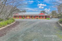 200 Anderson Road Echuca VIC 3564 $1,150,000 Check out this gem of a property on the edge of town. Set on 5999sqm this feature packed property will tick your boxes. The lovely home boasts 4 bedrooms with the master bedroom having a walk in robe, ensuite and either a study or parents retreat. The hub of the home is definitely the centrally located living area with the kitchen overlooking the dining and family area. Towards the rear of the home is a separate theatre room with raised seating so everyone can enjoy the movies, you just need to bring the popcorn. There is direct access to the garage and out to the large undercover entertaining area which features electric blinds. The home is kept comfortable all year round with ducted cooling, split system and floor heating but don't worry there is a 5kw solar system to assist. Outside is not forgotten with a one bedroom bungalow ideal for a parent, teenager or hobby room and the handyman will be in his element with massive shedding 6.5m x 12m and 6.5m x 15m, what more could you wish for. There are also 2 rain water tanks, town water and a sprinkler system. The gardens are designed to be low maintenance and there's still plenty of room to kick the footy. Ideally placed in a rural setting yet still within the town boundary, this property is a must see.